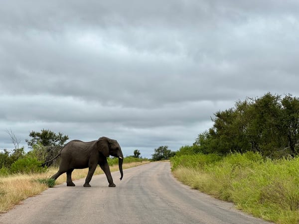 Notes From: South Africa