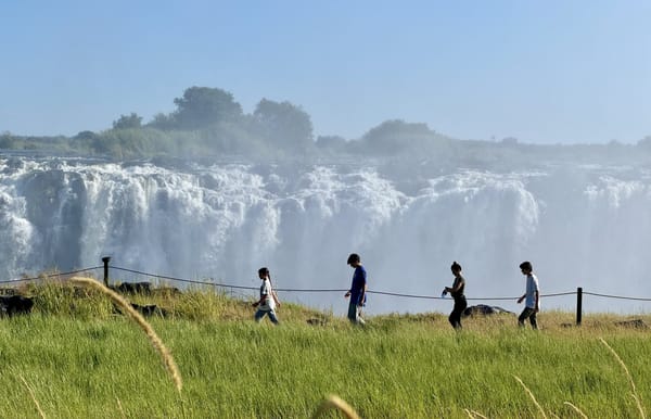 Notes From: Zimbabwe